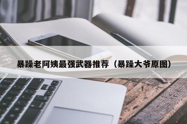 暴躁老阿姨最强武器推荐（暴躁大爷原图）