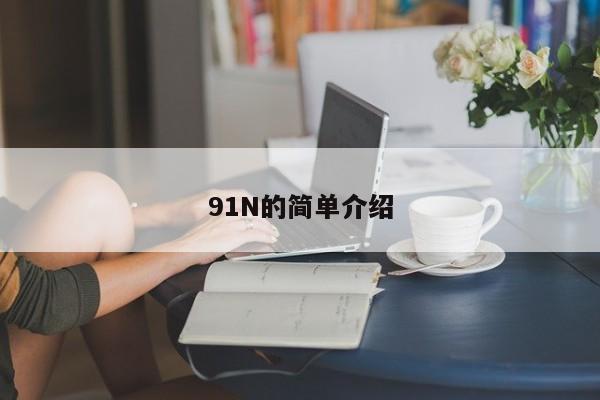 91N的简单介绍
