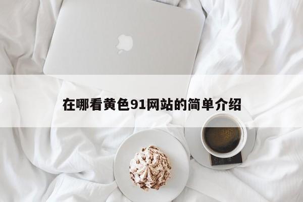 在哪看黄色91网站的简单介绍