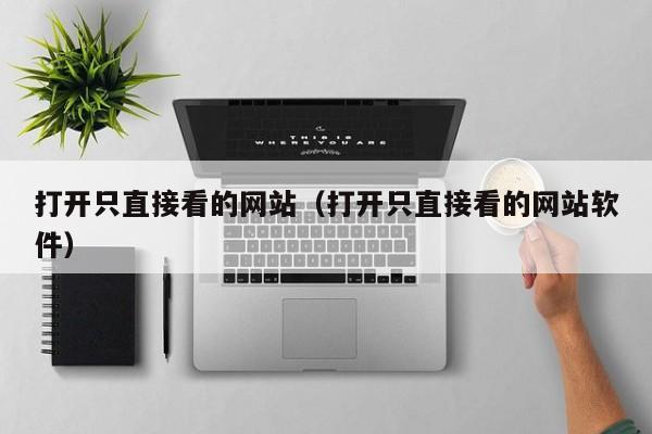 打开只直接看的网站(打开只直接看的网站软件)