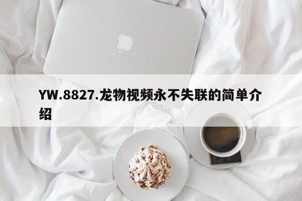 YW.8827.龙物视频永不失联的简单介绍