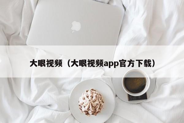 大眼视频(大眼视频app官方下载)