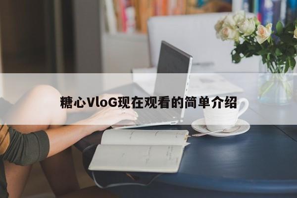 糖心VloG现在观看的简单介绍