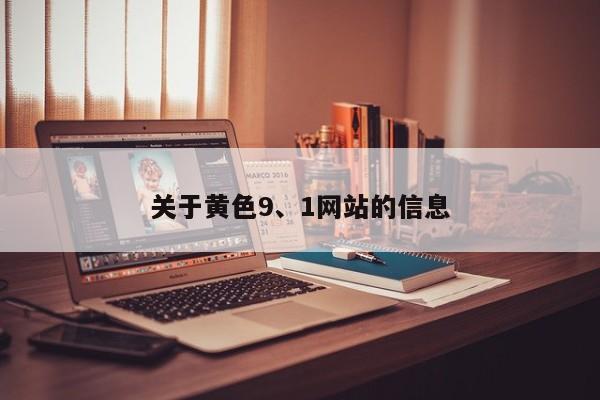 关于黄色9、1网站的信息