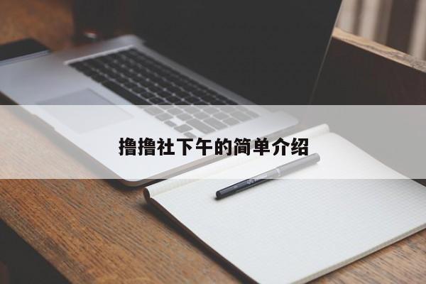 撸撸社下午的简单介绍