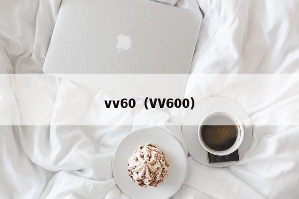 vv60(VV600)