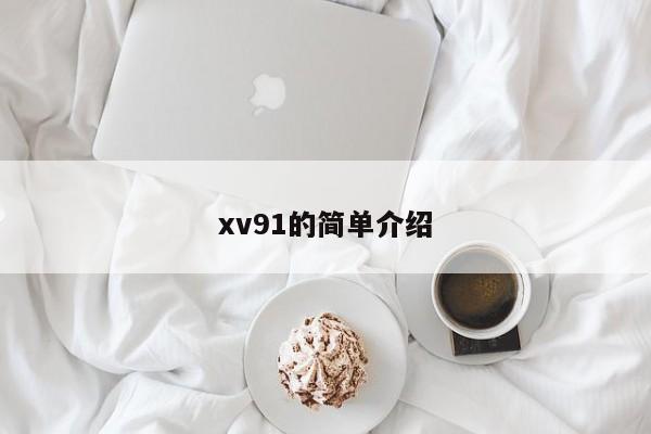 xv91的简单介绍