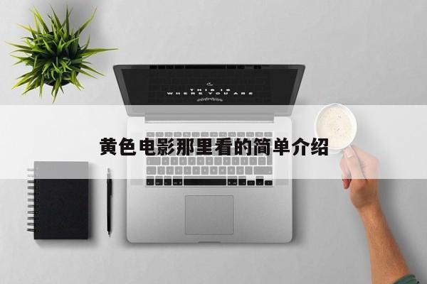 黄色电影那里看的简单介绍