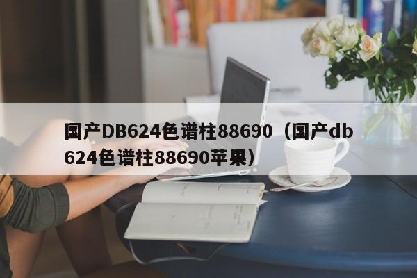 国产DB624色谱柱88690(国产db624色谱柱88690苹果)