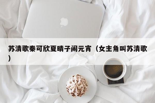 苏清歌秦可欣夏晴子闹元宵(女主角叫苏清歌)