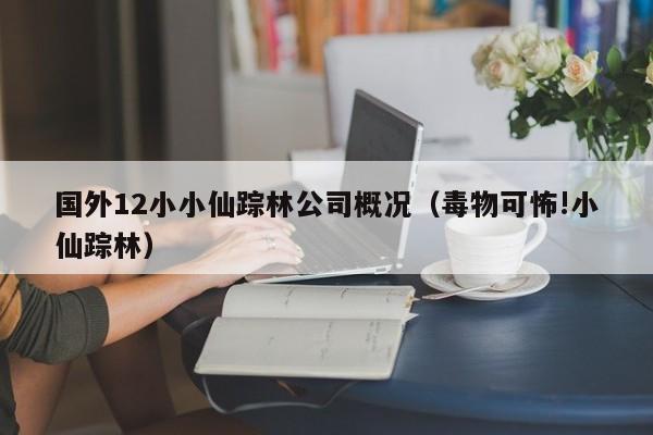 国外12小小仙踪林公司概况(毒物可怖!小仙踪林)