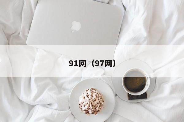 91网(97网)
