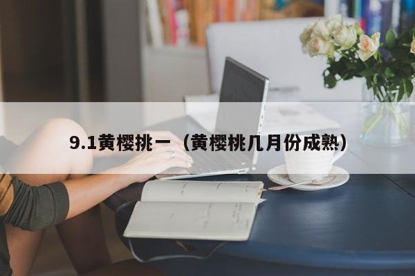 9.1黄樱挑一(黄樱桃几月份成熟)