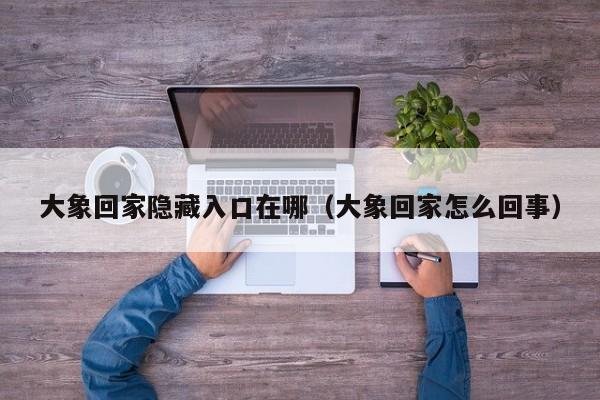 大象回家隐藏入口在哪(大象回家怎么回事)