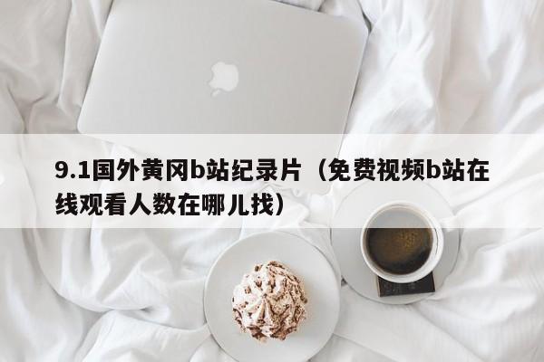 9.1国外黄冈b站纪录片(免费视频b站在线观看人数在哪儿找)