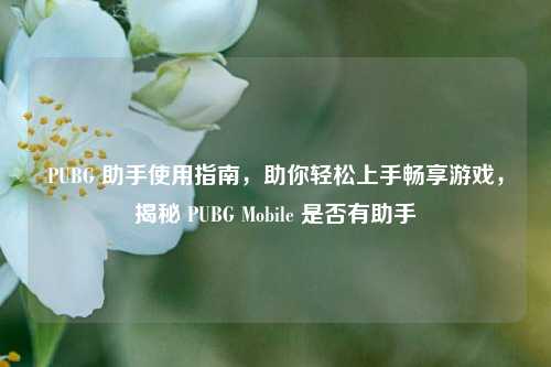 PUBG 助手使用指南，助你轻松上手畅享游戏，揭秘 PUBG Mobile 是否有助手