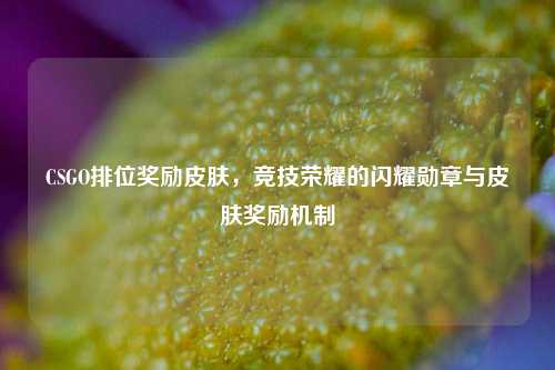 CSGO排位奖励皮肤，竞技荣耀的闪耀勋章与皮肤奖励机制