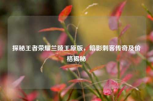 探秘王者荣耀兰陵王原版，暗影刺客传奇及价格揭秘