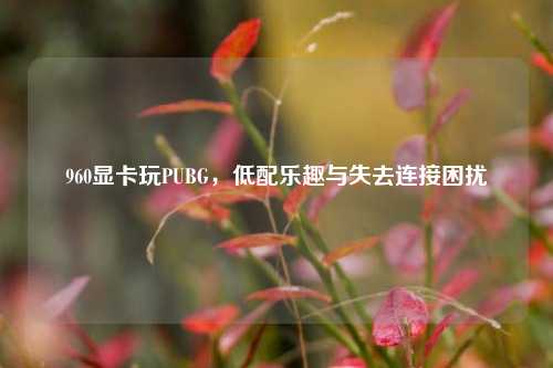 960显卡玩PUBG，低配乐趣与失去连接困扰