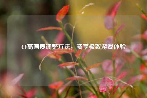 CF高画质调整     ，畅享极致游戏体验