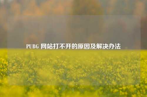 PUBG 网站打不开的原因及解决办法