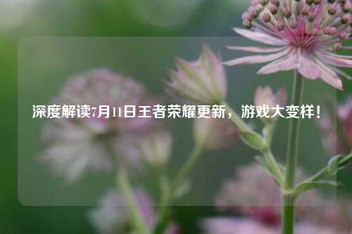 深度解读7月11日王者荣耀更新，游戏大变样！