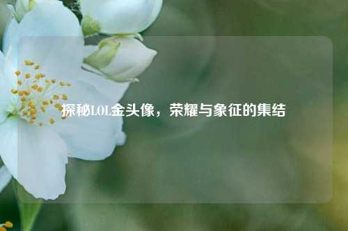 探秘LOL金头像，荣耀与象征的集结