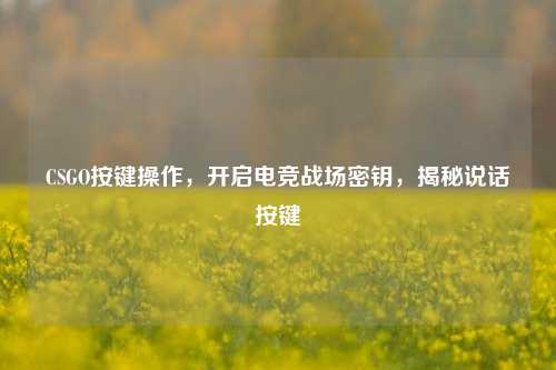 CSGO按键操作，开启电竞战场密钥，揭秘说话按键