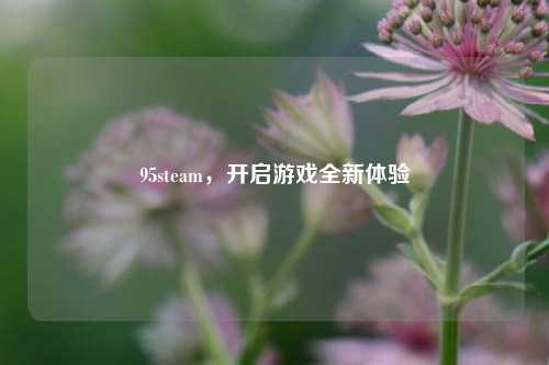 95steam，开启游戏全新体验