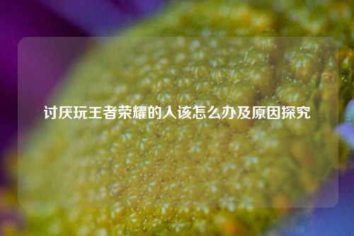 讨厌玩王者荣耀的人该怎么办及原因探究