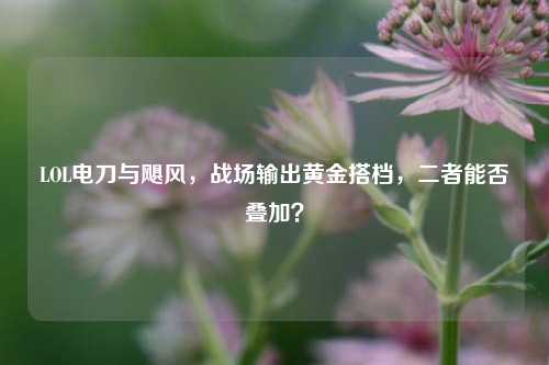 LOL电刀与飓风，战场输出黄金搭档，二者能否叠加？