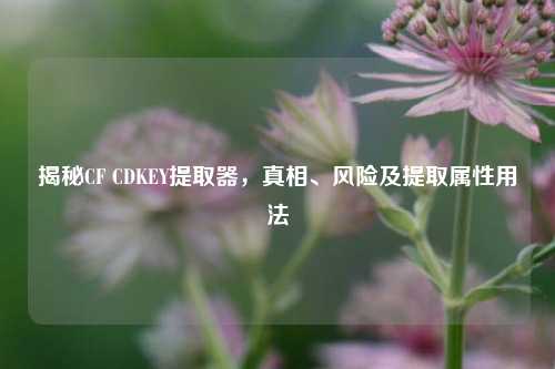 揭秘CF CDKEY提取器，真相、风险及提取属性用法