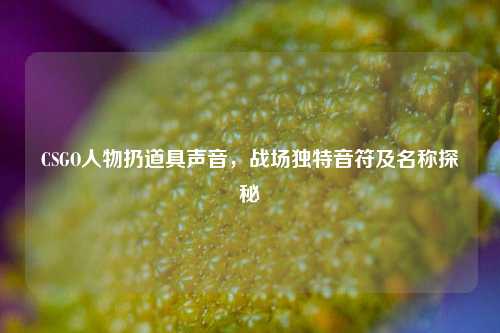 CSGO人物扔道具声音，战场独特音符及名称探秘