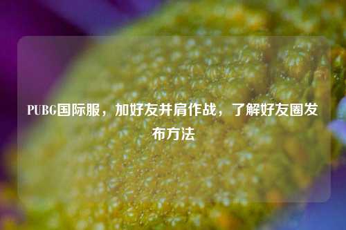 PUBG国际服，加好友并肩作战，了解好友圈发布     