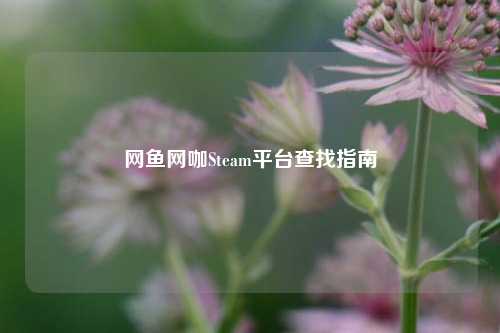 网鱼网咖Steam平台查找指南