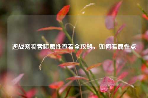 逆战宠物吞噬属性查看全攻略，如何看属性点