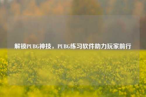 解锁PUBG神技，PUBG练习软件助力玩家前行