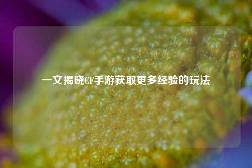 一文揭晓CF手游获取更多经验的玩法