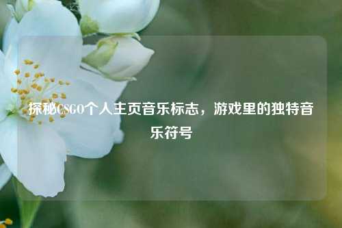 探秘CSGO个人主页音乐标志，游戏里的独特音乐符号