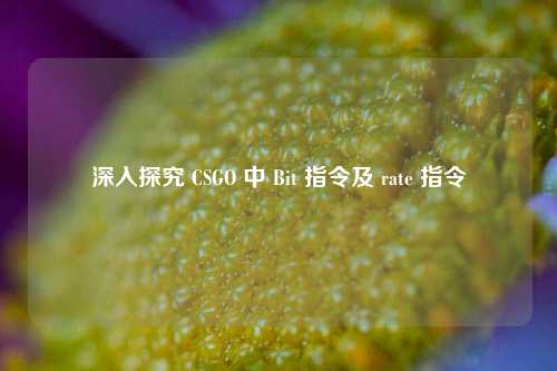 深入探究 CSGO 中 Bit 指令及 rate 指令