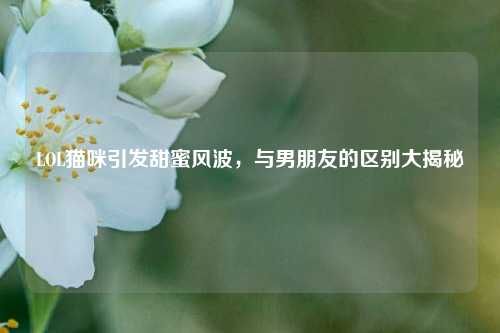LOL猫咪引发甜蜜风波，与男朋友的区别大揭秘