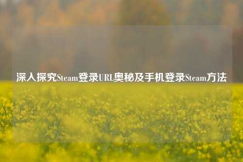 深入探究Steam登录URL奥秘及手机登录Steam     