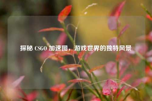 探秘 CSGO 加速图，游戏世界的独特风景