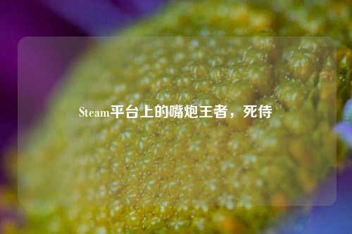 Steam平台上的嘴炮王者，死侍