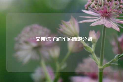 一文带你了解PUBG端游分数