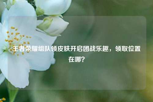 王者荣耀组队领皮肤开启团战乐趣，领取位置在哪？