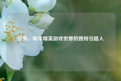 空壳，和平精英游戏世界的独特引路人