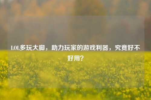 LOL多玩大脚，助力玩家的游戏利器，究竟好不好用？
