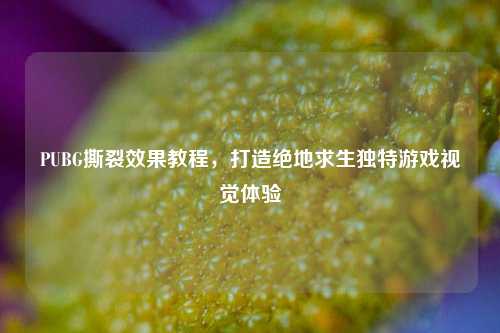 PUBG撕裂效果教程，打造绝地求生独特游戏视觉体验