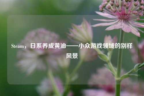 Steam，日系养成黄油——小众游戏领域的别样风景